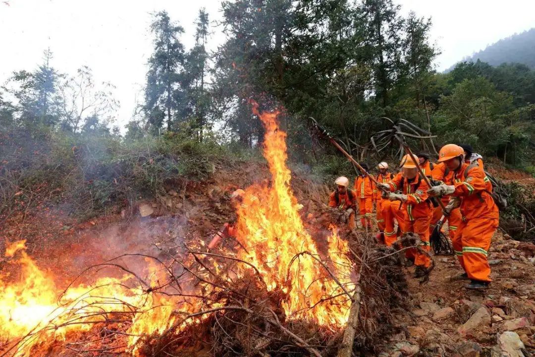 1729579547358114.jpg 1651821537939014.jpg